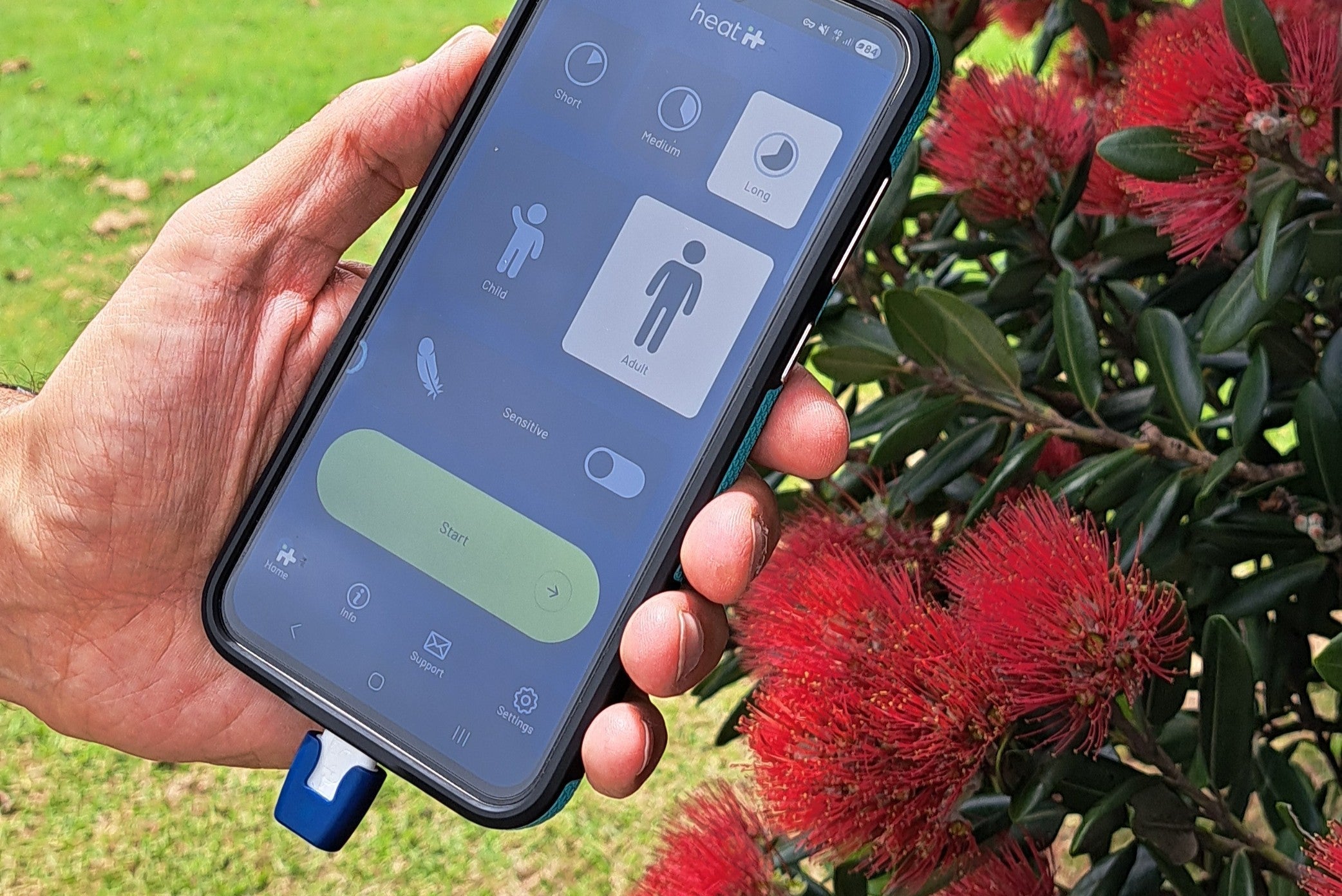 heat it device connected to smartphone held in hand with New Zealand Pohutukawa blossoms