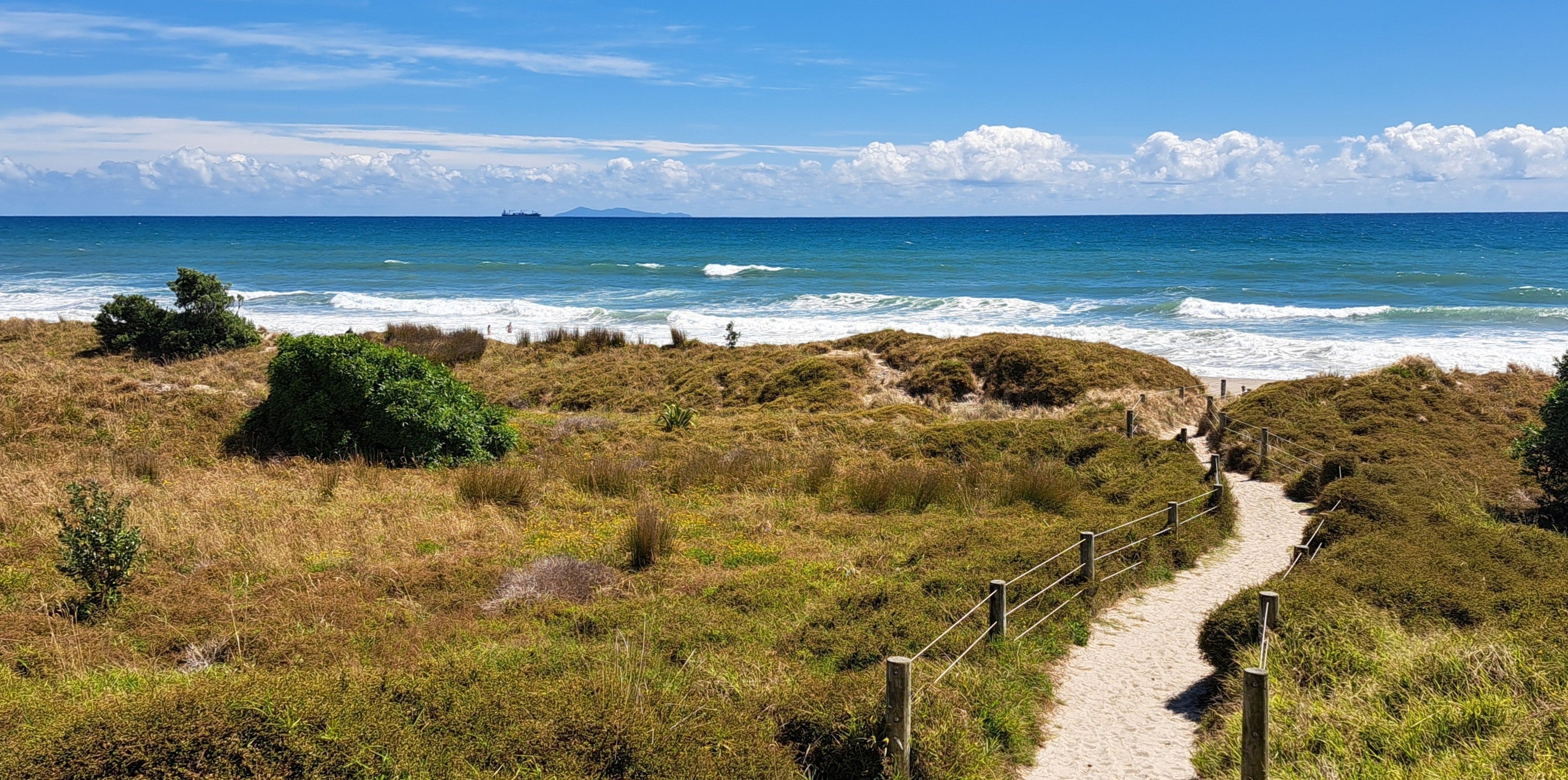 Papamoa Beach with sand dunes, coastal vegetation, and ocean waves